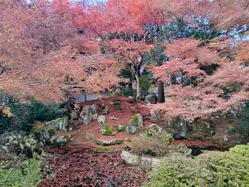 金剛院(京都府)