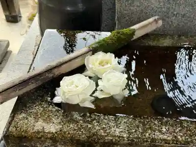 五大堂同聚院(京都府)