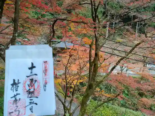 横蔵寺の御朱印