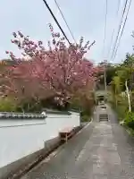 大谷寺の{uncategorized: "未分類", other: "その他", undefined: "問題あり", building: "その他建物", grave: "お墓", sacred_gate: "鳥居", guardian: "狛犬", statue: "像", buddha: "仏像", history: "歴史", nature: "自然", garden: "庭園", animal: "動物", pagoda: "塔", temizu: "手水舎", mountain_gate: "山門・神門", sanctuary: "本殿・本堂", subordinate: "末社・摂社", art: "芸術", scenery: "景色", jizo: "地蔵", ema: "絵馬", goshuin: "御朱印", omikuji: "おみくじ", items: "授与品その他", amulet: "お守り", goshuincho: "御朱印帳", eats: "食事", festival: "お祭り", votive_dance: "神楽", shichigosan: "七五三参", wedding: "結婚式", experience: "体験その他", initially: "初詣", around: "周辺", anti_infection: "感染症対策"}