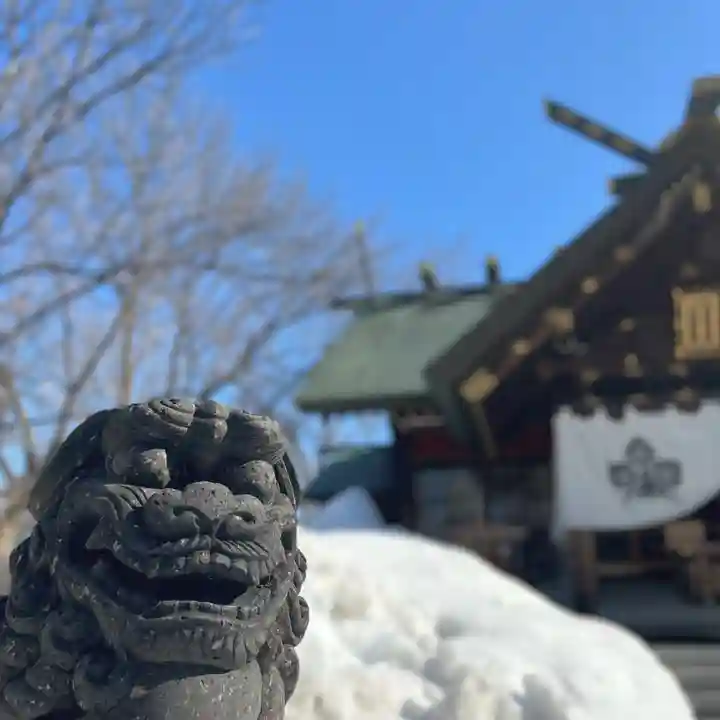 札幌諏訪神社の狛犬