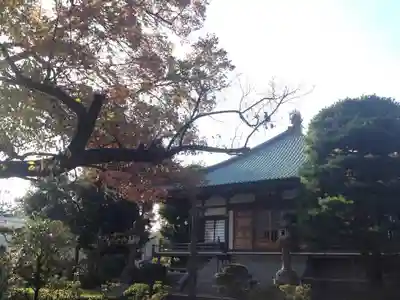 明静院の本殿・本堂