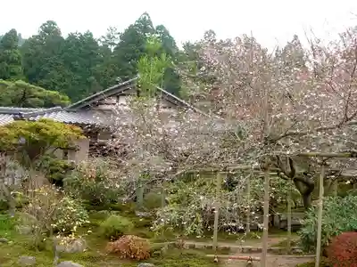 実光院(京都府)