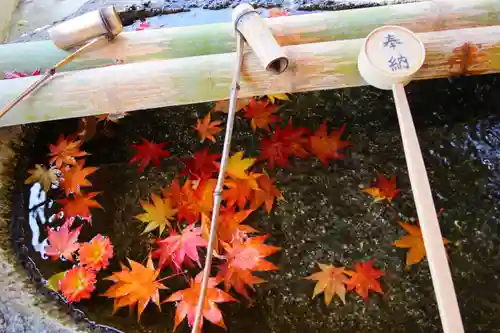 鹿島大神宮の手水舎