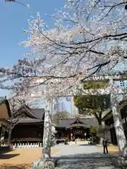 熊野神社の鳥居