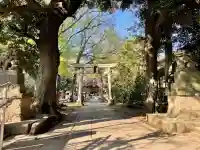 小金井神社の{uncategorized: "未分類", other: "その他", undefined: "問題あり", building: "その他建物", grave: "お墓", sacred_gate: "鳥居", guardian: "狛犬", statue: "像", buddha: "仏像", history: "歴史", nature: "自然", garden: "庭園", animal: "動物", pagoda: "塔", temizu: "手水舎", mountain_gate: "山門・神門", sanctuary: "本殿・本堂", subordinate: "末社・摂社", art: "芸術", scenery: "景色", jizo: "地蔵", ema: "絵馬", goshuin: "御朱印", omikuji: "おみくじ", items: "授与品その他", amulet: "お守り", goshuincho: "御朱印帳", eats: "食事", festival: "お祭り", votive_dance: "神楽", shichigosan: "七五三参", wedding: "結婚式", experience: "体験その他", initially: "初詣", around: "周辺", anti_infection: "感染症対策"}