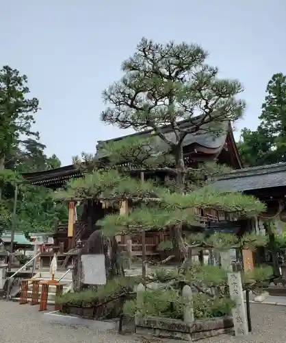 沙沙貴神社の庭園