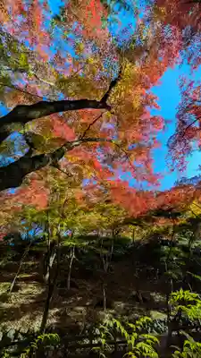 北野天満宮(京都府)