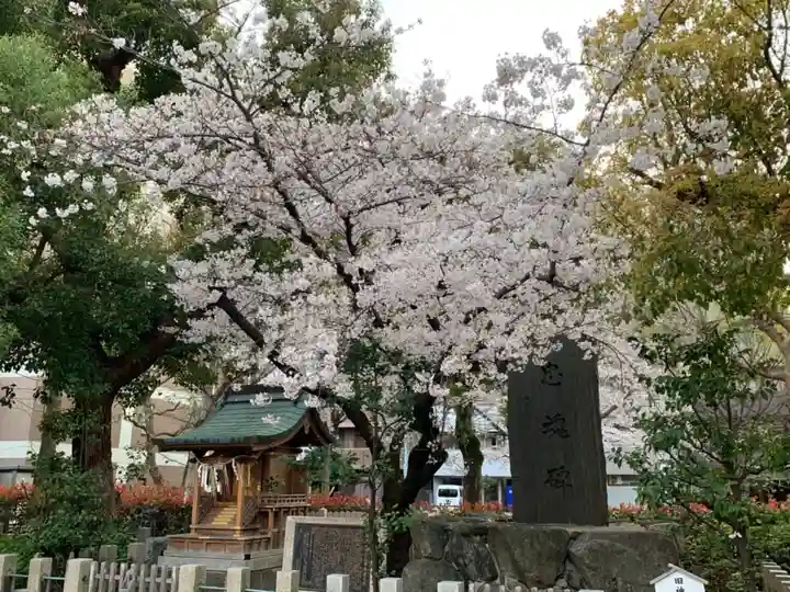 神津神社の自然