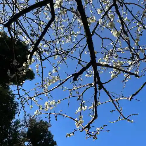 大國魂神社(東京都)