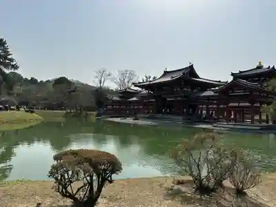 平等院の本殿・本堂