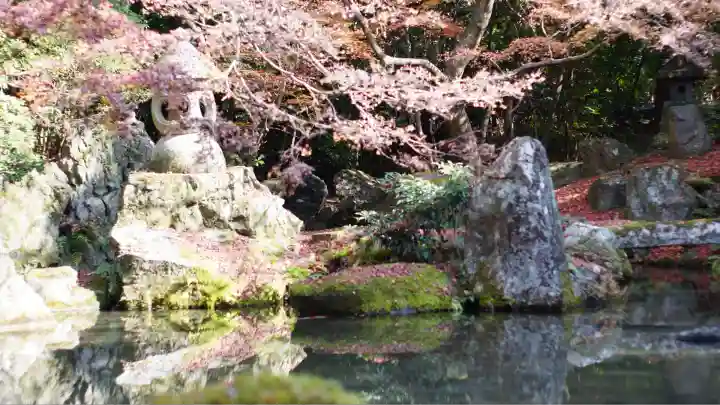 蓮華寺(洛北蓮華寺)(京都府)