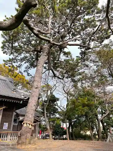 岐佐神社の庭園