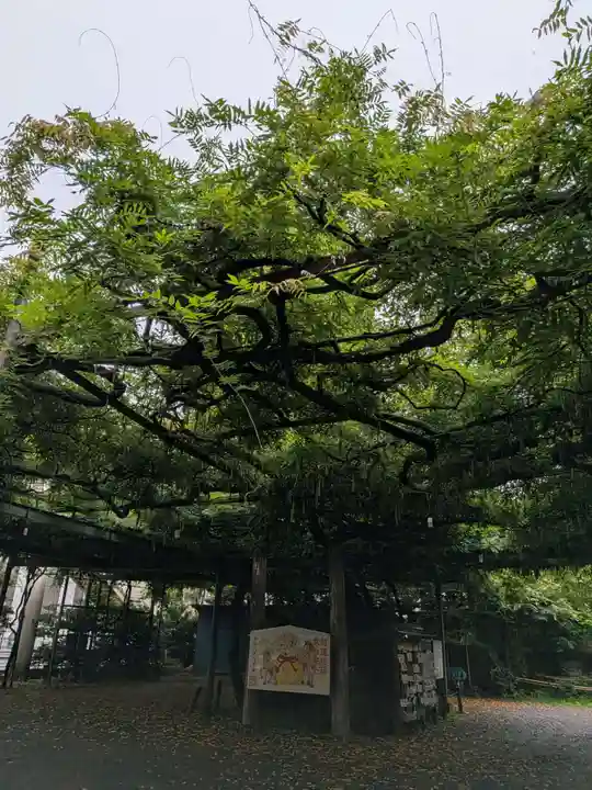 國領神社(東京都)