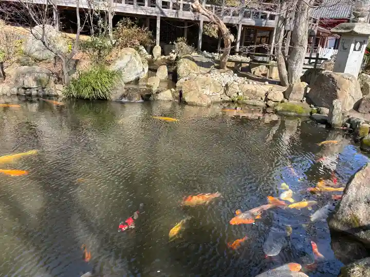 楽法寺(雨引観音)(茨城県)