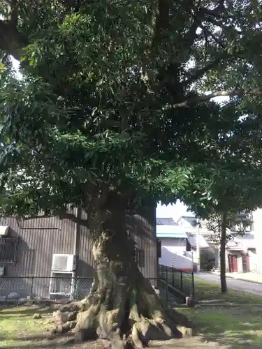 西宮神社の建物その他