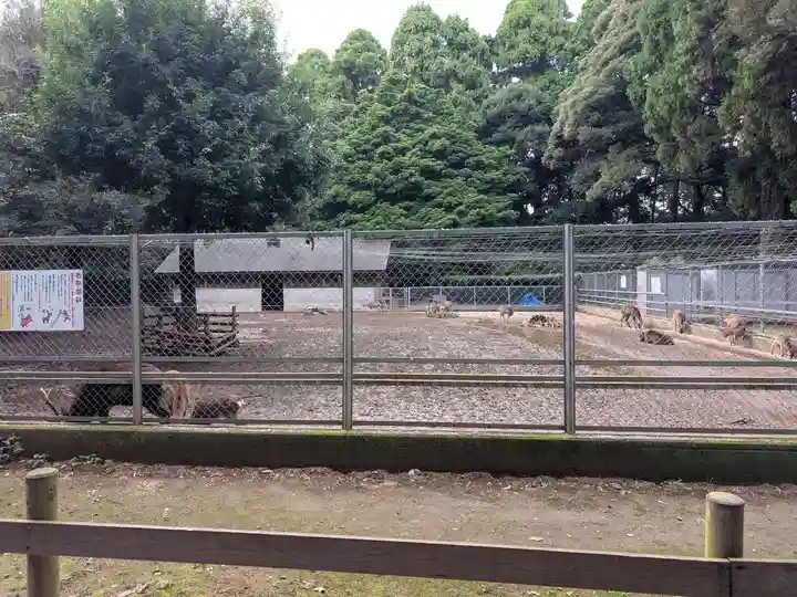 鹿島神宮(茨城県)