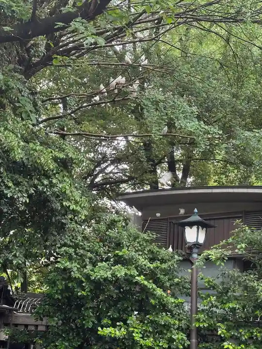 靖國神社(東京都)