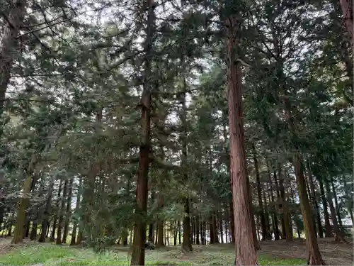 冨士御室浅間神社(山梨県)