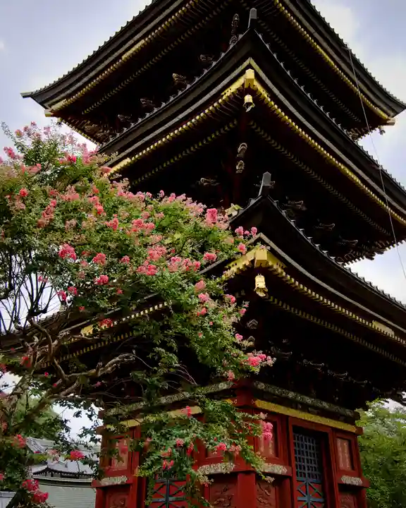 不動院(板橋不動尊)(茨城県)