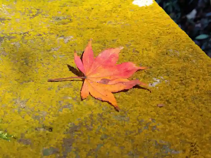 気比神社(福井県)
