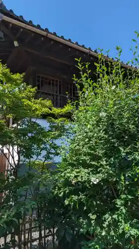圓通寺(京都府)