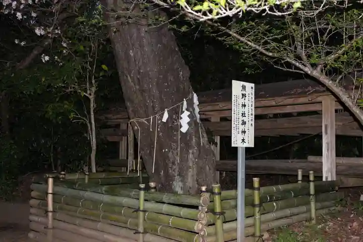 宮川熊野神社(千葉県)