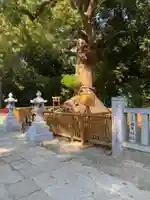 和泉國一之宮 大鳥大社の自然