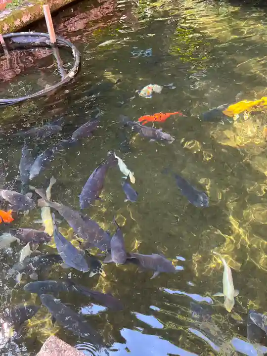 熊野那智大社(和歌山県)