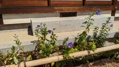 晴明神社(京都府)