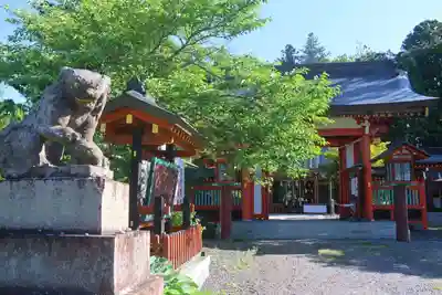大鏑矢神社の狛犬