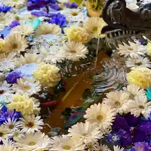 札幌諏訪神社の手水舎(2022年05月19日(木) 08時31分08秒投稿)