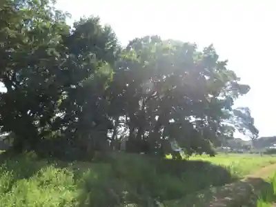 神明神社(千葉県)