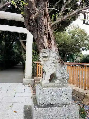 岩槻久伊豆神社の狛犬