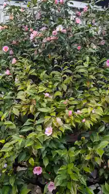 慈眼寺(京都府)