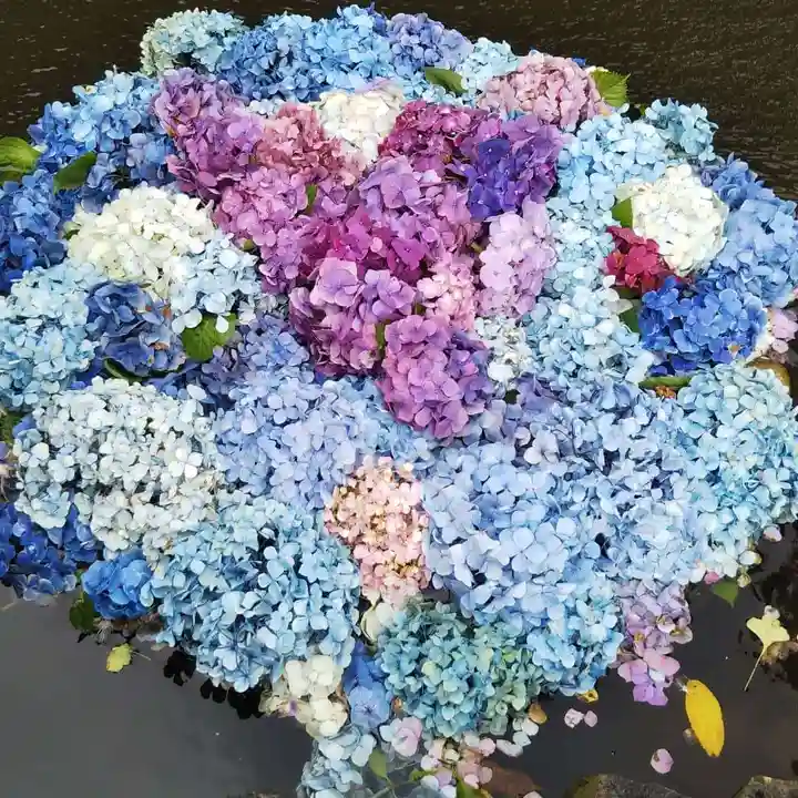 楽法寺(雨引観音)の庭園