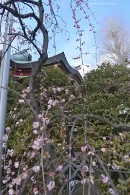 居木神社(東京都)