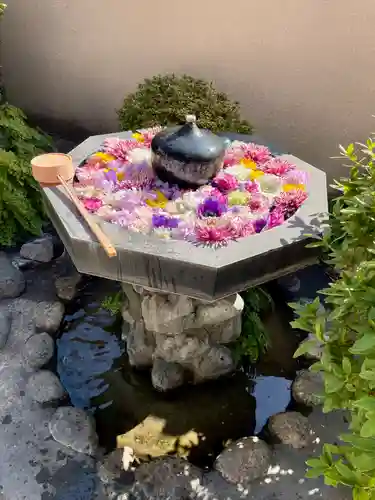 神楽坂安養寺(東京都)