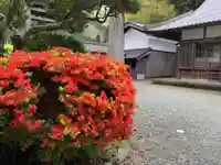 覚成寺(福井県)