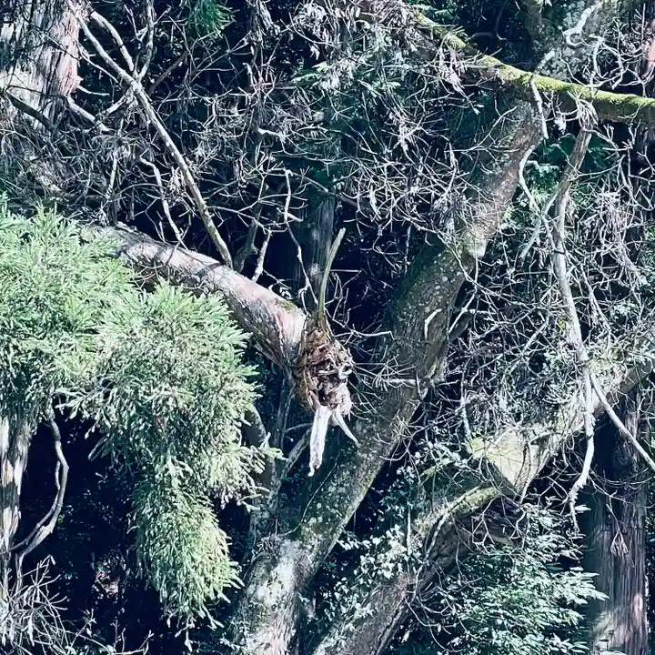 高岡神社(岡山県)