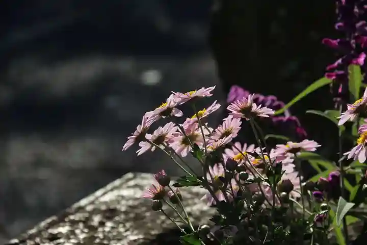 熊野福藏神社の手水舎