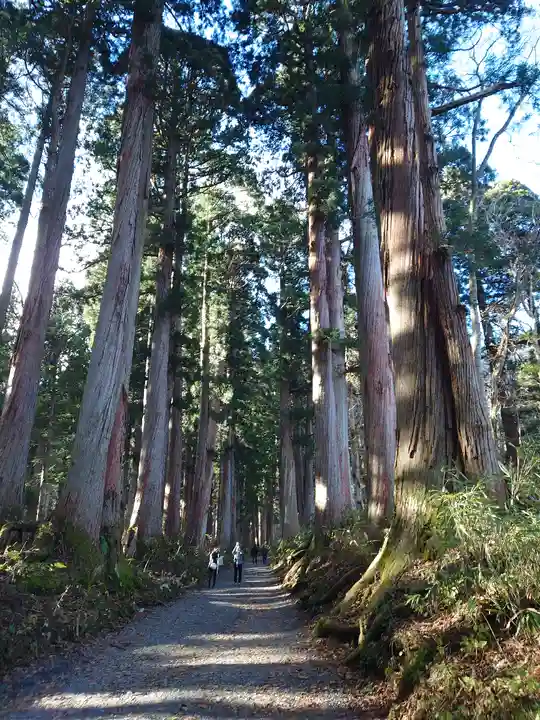 戸隠神社奥社の周辺