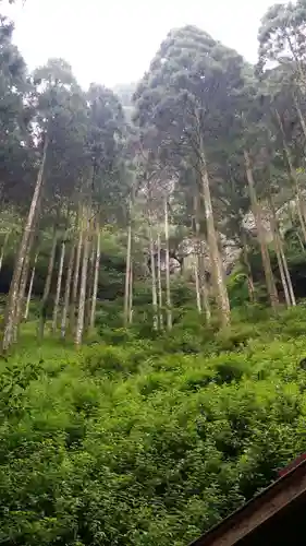 秋元神社の周辺