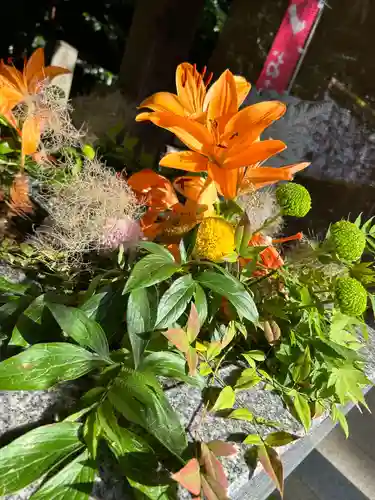 滑川神社 - 仕事と子どもの守り神の手水舎