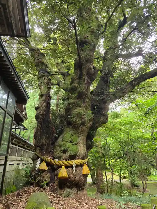 狭野神社(石川県)