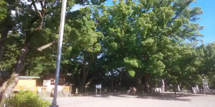 大麻比古神社のその他建物