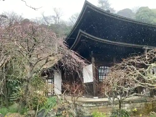 瑞泉寺の{uncategorized: "未分類", other: "その他", undefined: "問題あり", building: "その他建物", grave: "お墓", sacred_gate: "鳥居", guardian: "狛犬", statue: "像", buddha: "仏像", history: "歴史", nature: "自然", garden: "庭園", animal: "動物", pagoda: "塔", temizu: "手水舎", mountain_gate: "山門・神門", sanctuary: "本殿・本堂", subordinate: "末社・摂社", art: "芸術", scenery: "景色", jizo: "地蔵", ema: "絵馬", goshuin: "御朱印", omikuji: "おみくじ", items: "授与品その他", amulet: "お守り", goshuincho: "御朱印帳", eats: "食事", festival: "お祭り", votive_dance: "神楽", shichigosan: "七五三参", wedding: "結婚式", experience: "体験その他", initially: "初詣", around: "周辺", anti_infection: "感染症対策"}