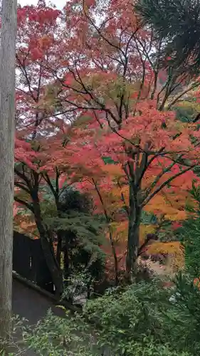 善峯寺(京都府)