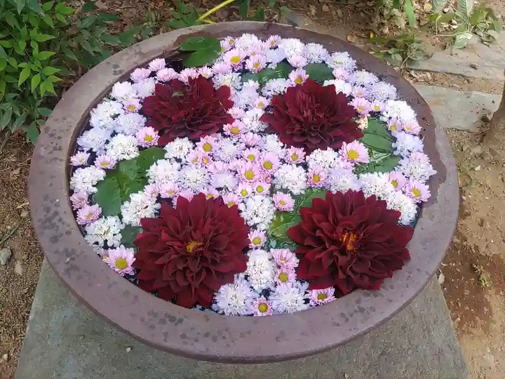 徳星寺(埼玉県)