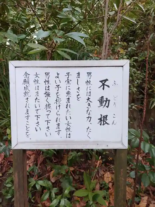 瑞雲寺(神奈川県)